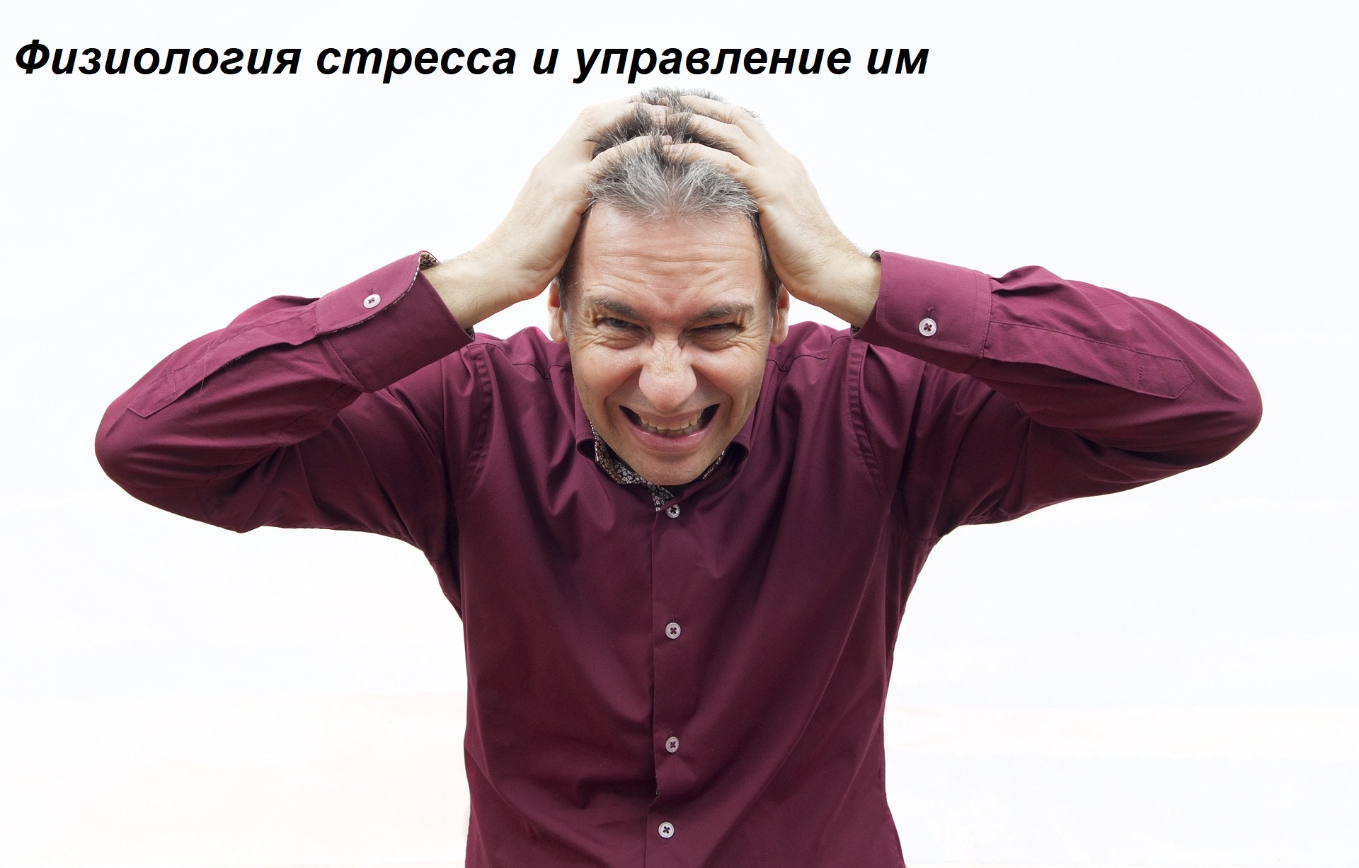 Физиология стресса и управление им