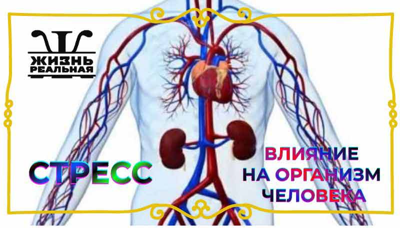 Влияние стресса на организм человека