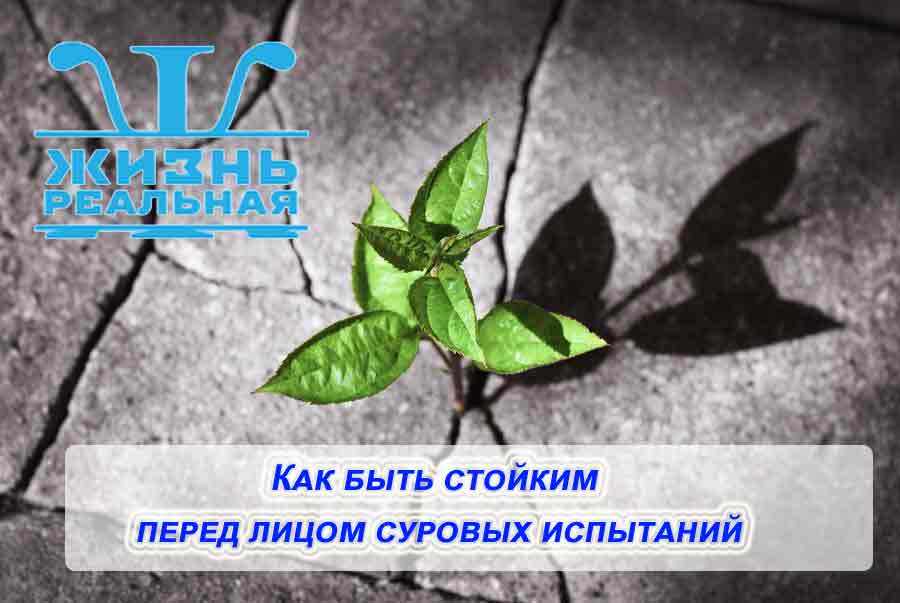 Как быть стойким перед лицом суровых испытаний: 10 способов